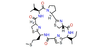 Mayotamide A